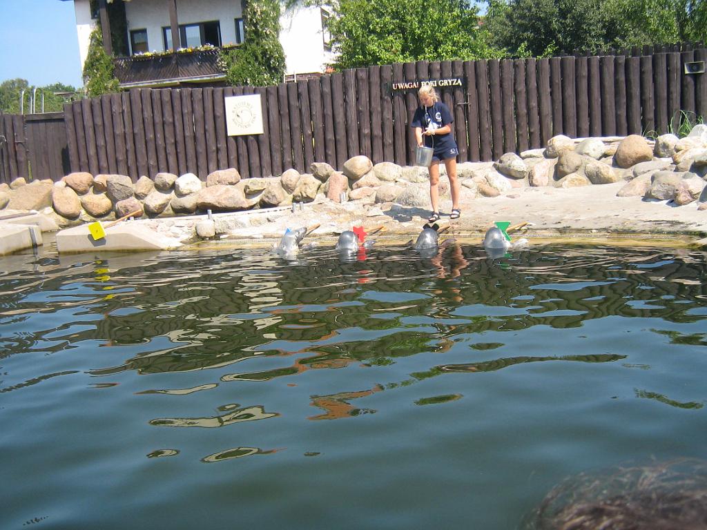 5 165.jpg